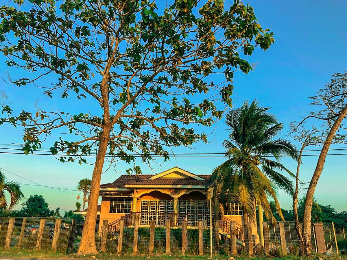 Abisabi Homestay Kangar Exterior photo